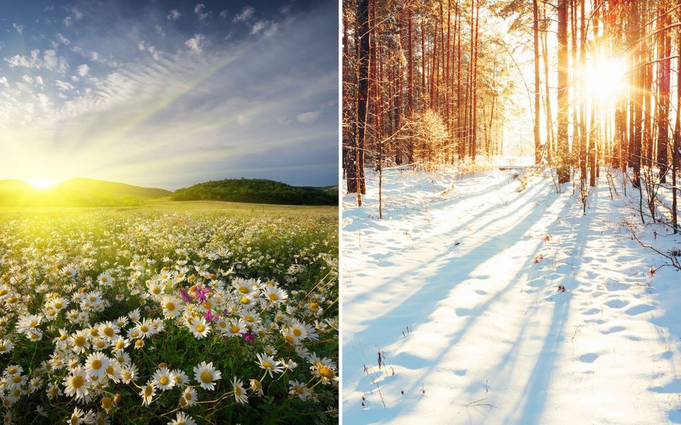 slika pomladi z zelenim travnikom in rožicami ter slika zime s snegom in golimi drevesi